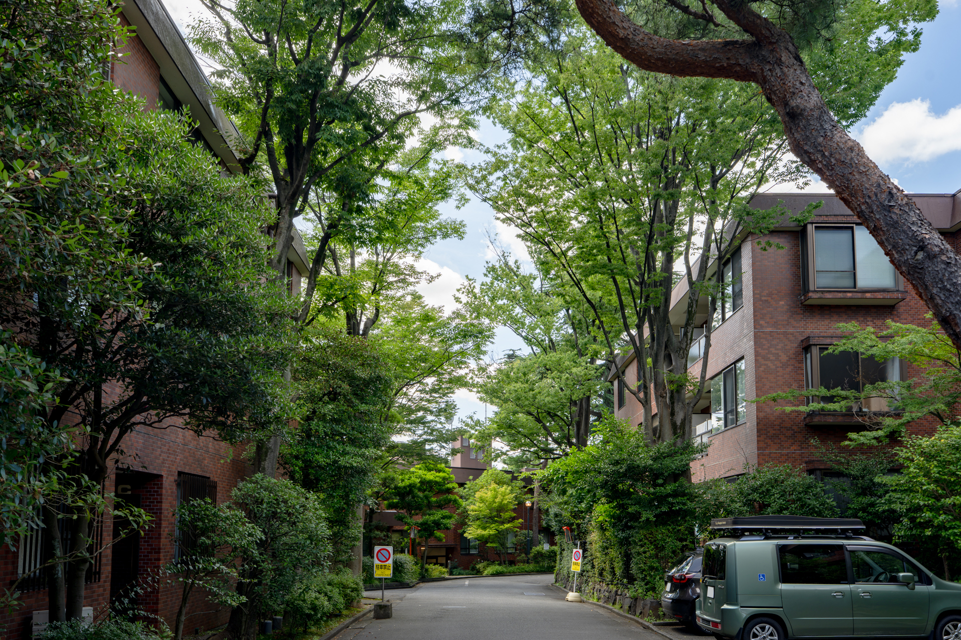 敷地全体が公園のよう。うっとりするほど素敵なマンションです