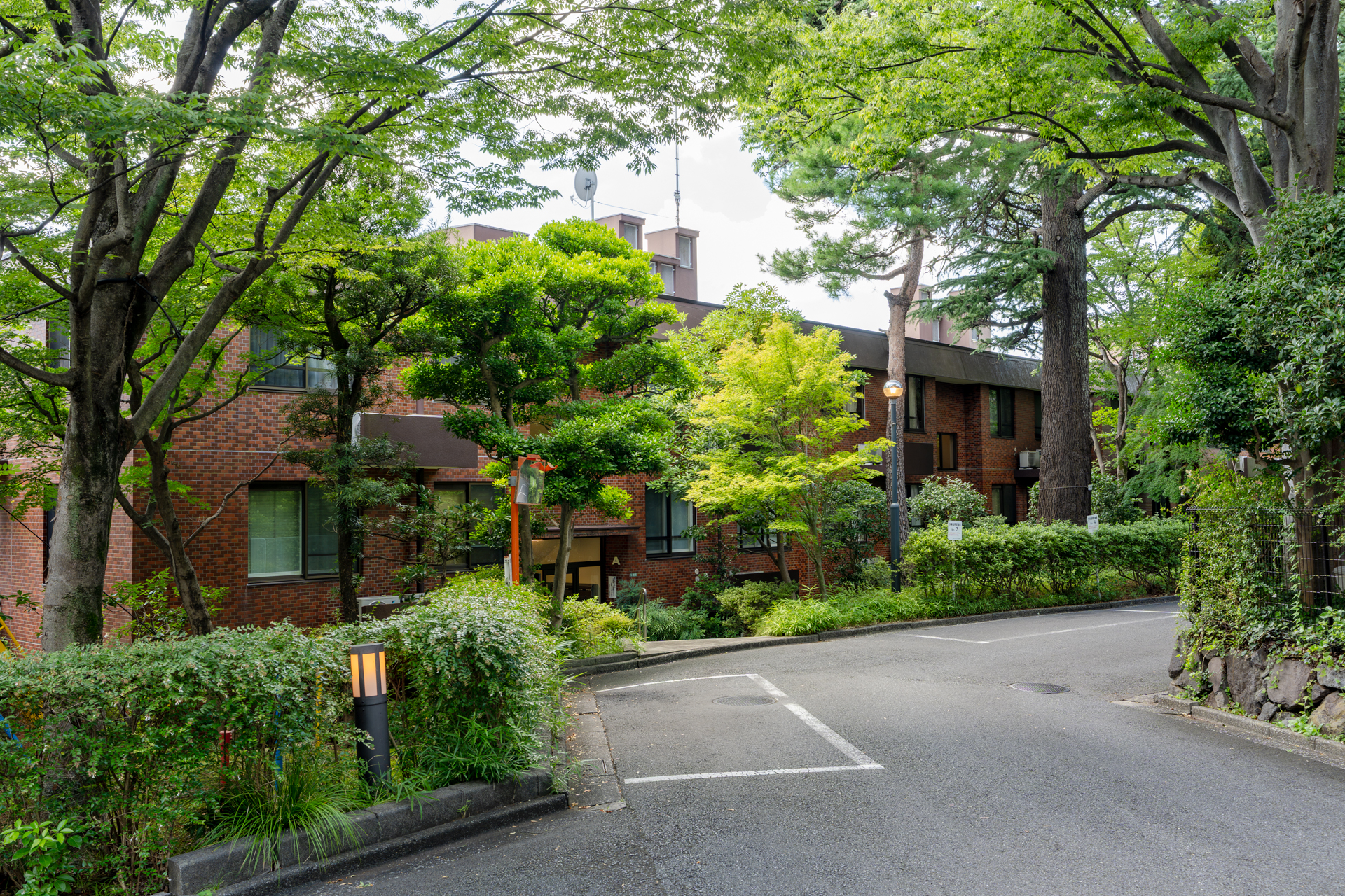 岡本緑地に面した5号棟です