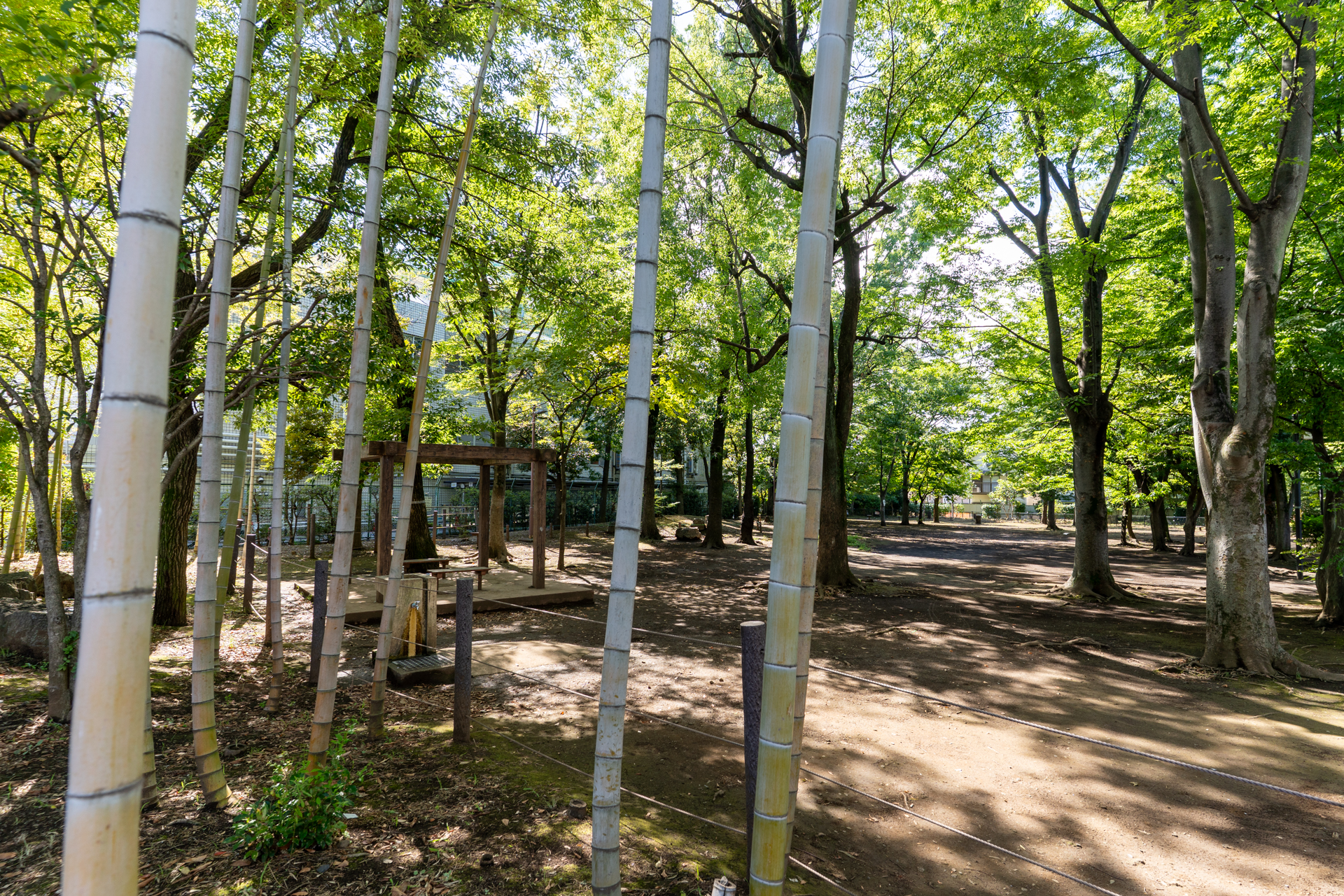目の前の公園