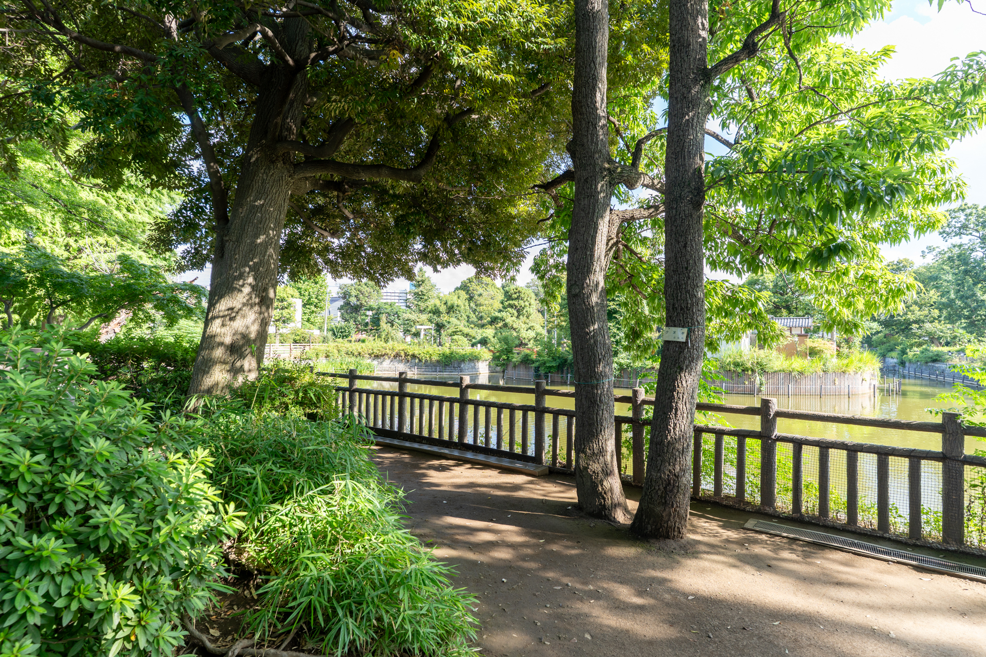 すぐそばの碑文谷公園