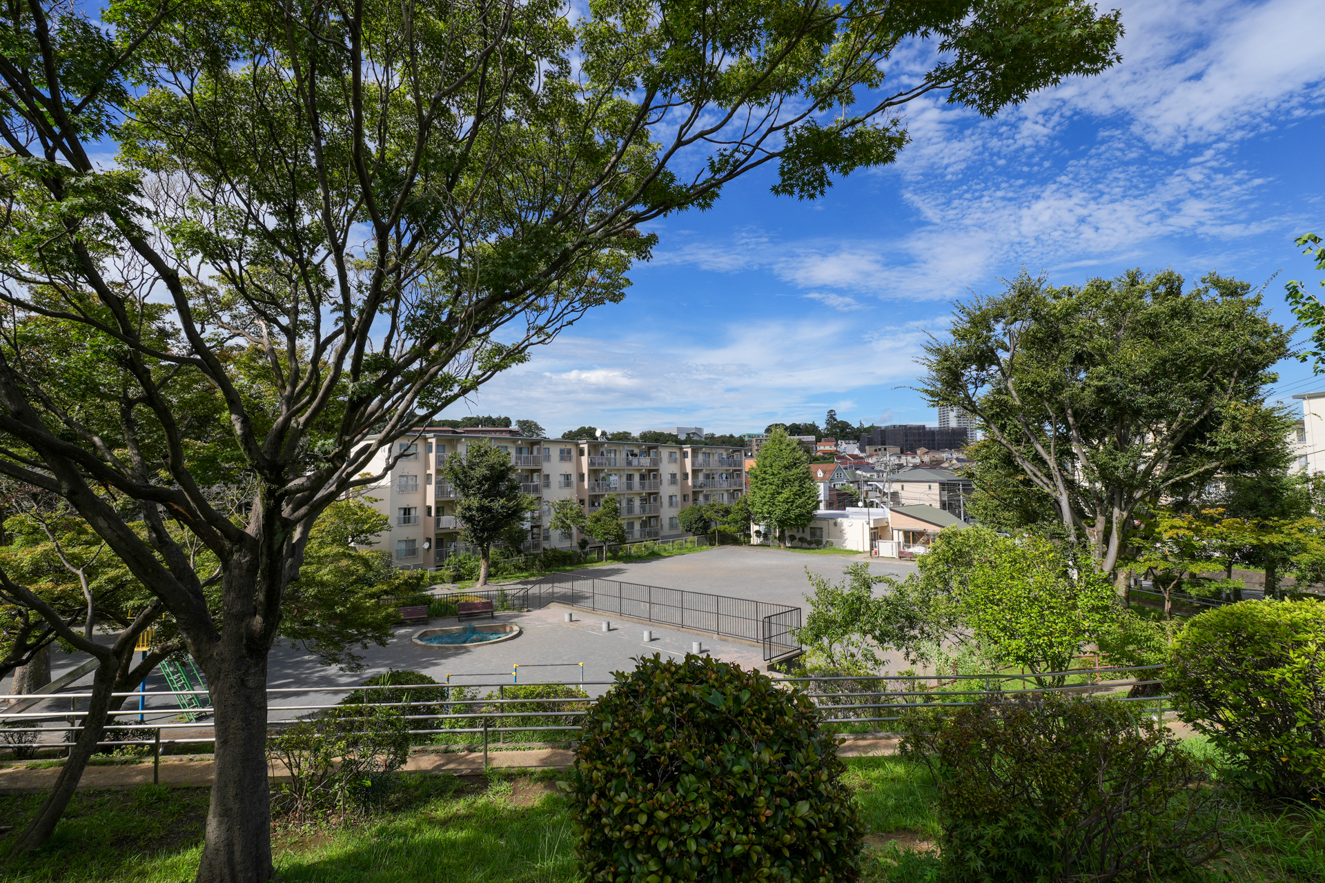 近くには公園があります