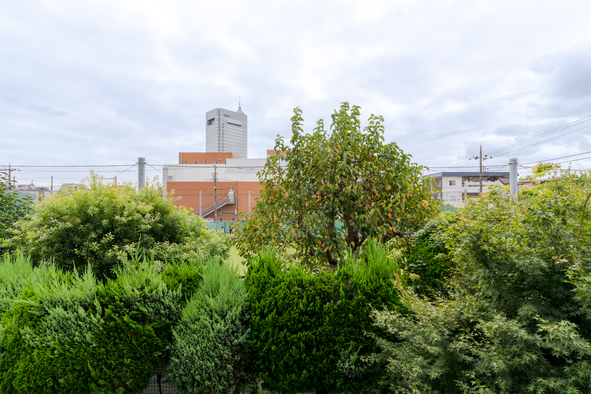 レトロと緑が似合う部屋
