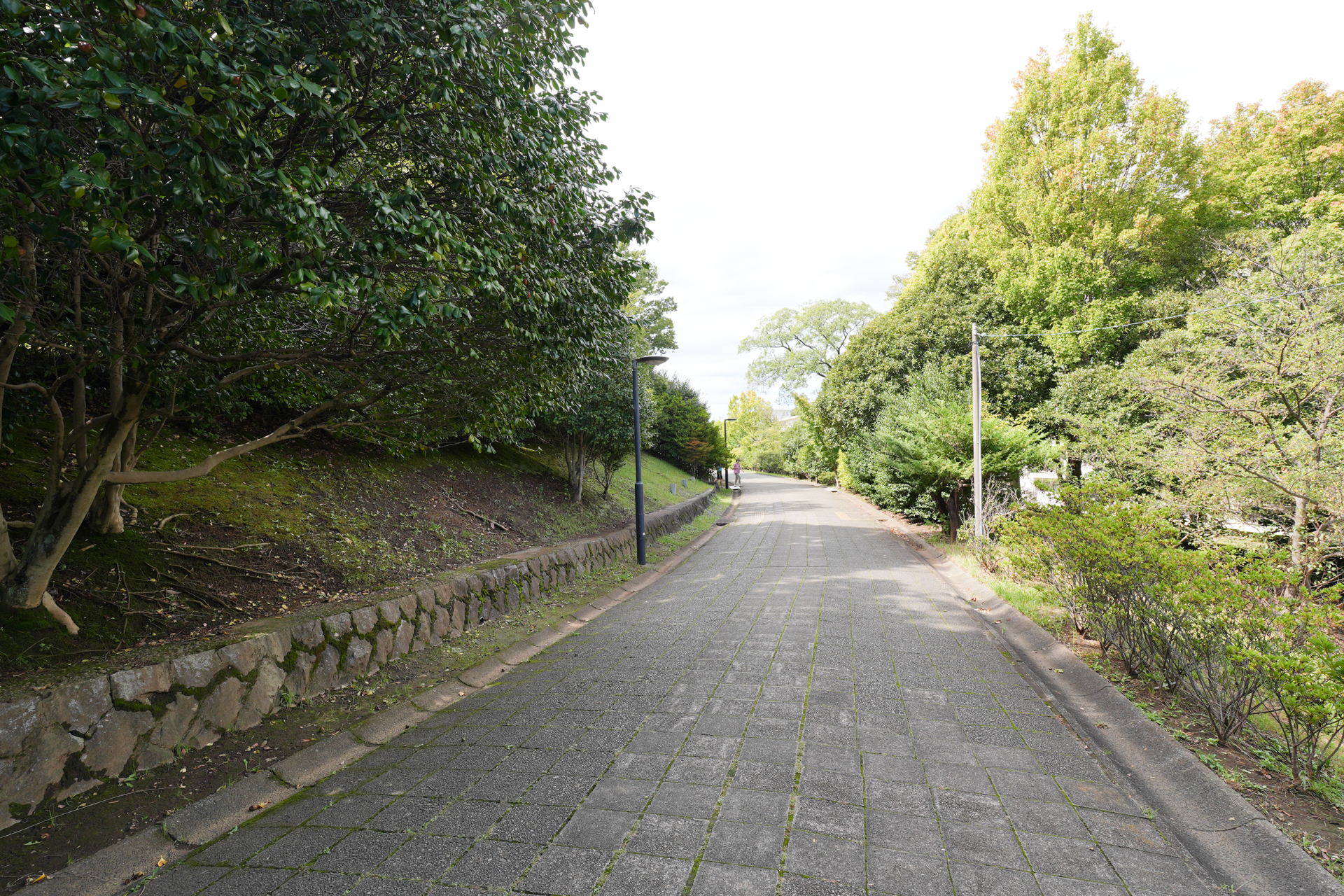 緑道