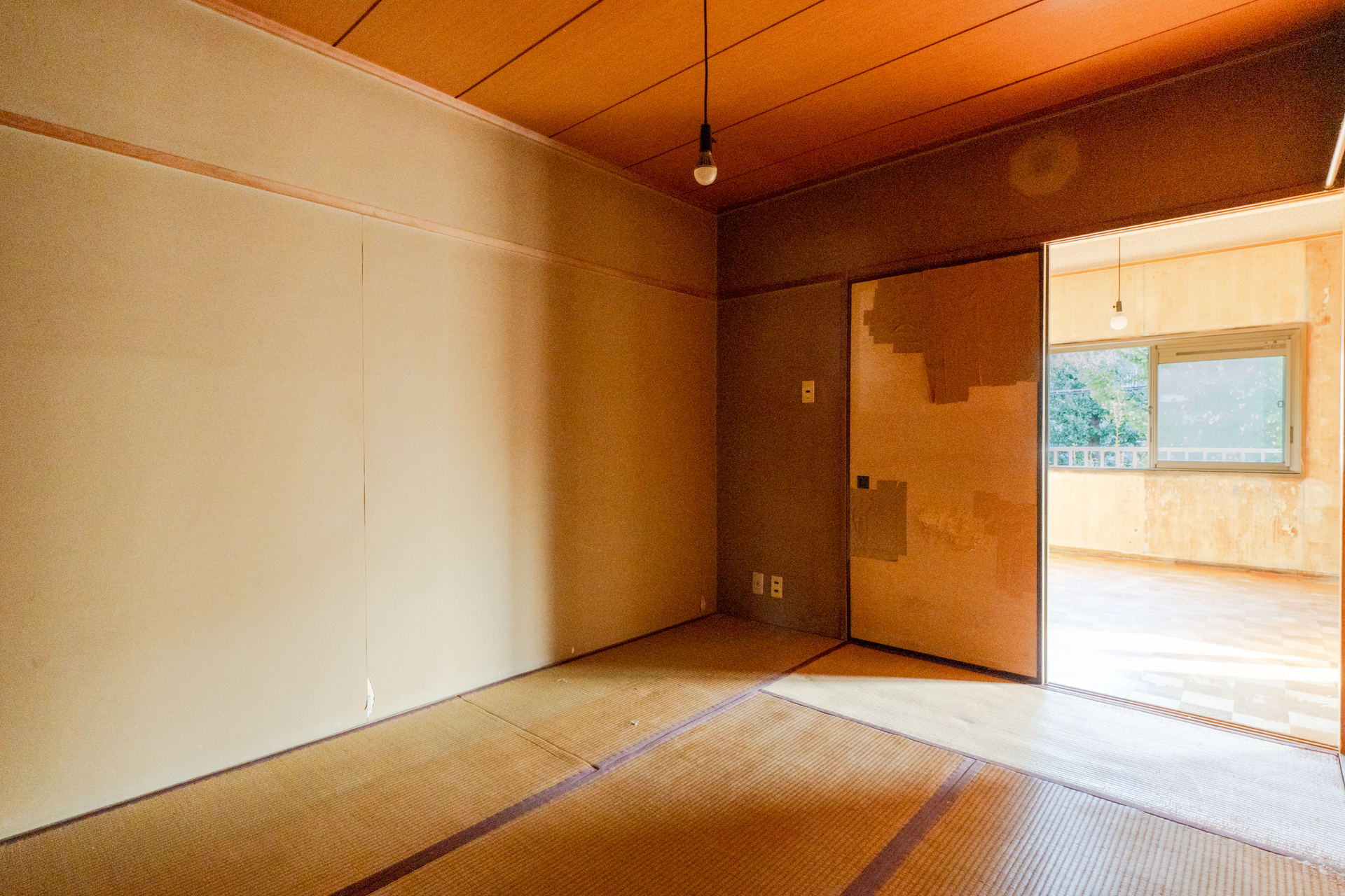 和室からも緑と日当たりを感じます