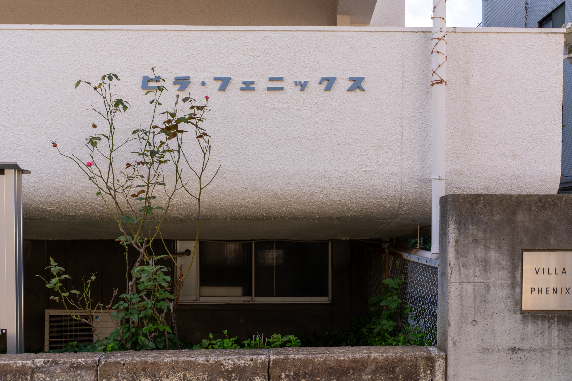 この館名板がたまらない！