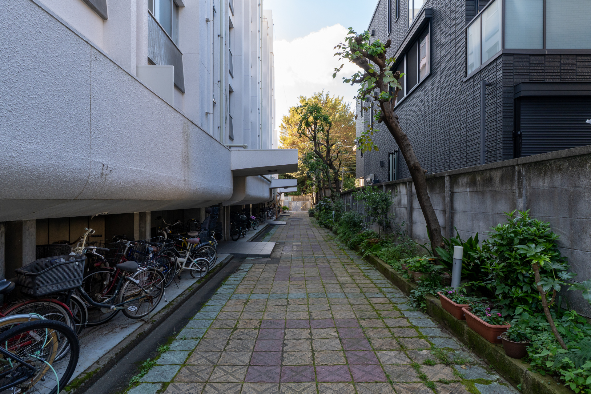 こちらがエントランスへの入り口
