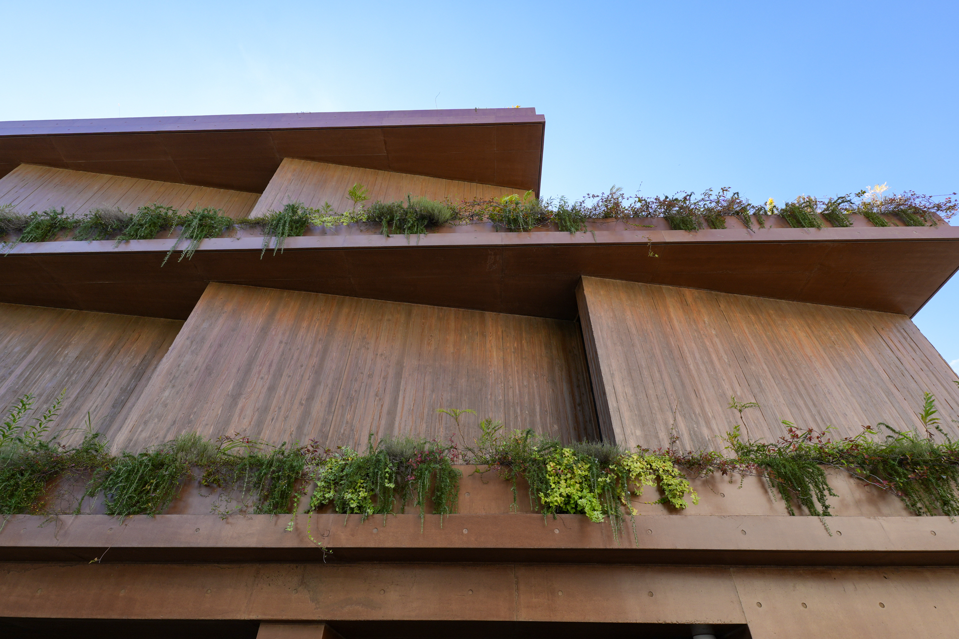 建物の間から植栽がこんにちわ