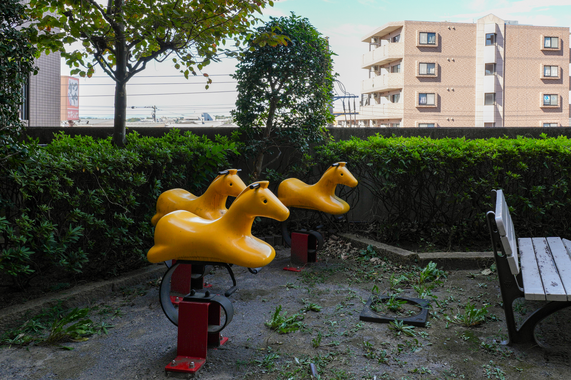 玄関開けるとこんにちわ×3